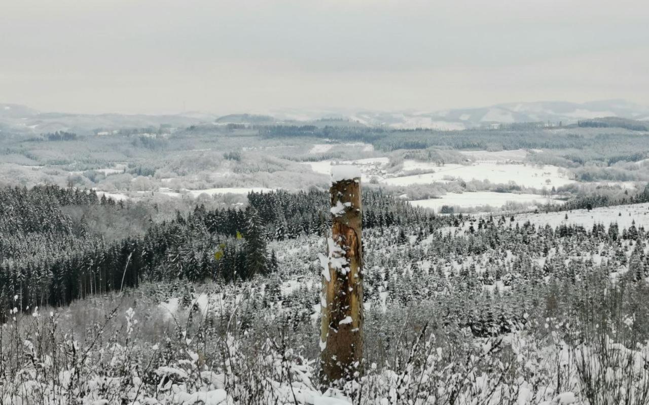 Auszeit, Erholung Mitten In Der Natur - Ferienhaus Im Sauerland In Faulebutter Finnentrop Екстериор снимка